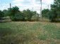 the yard
